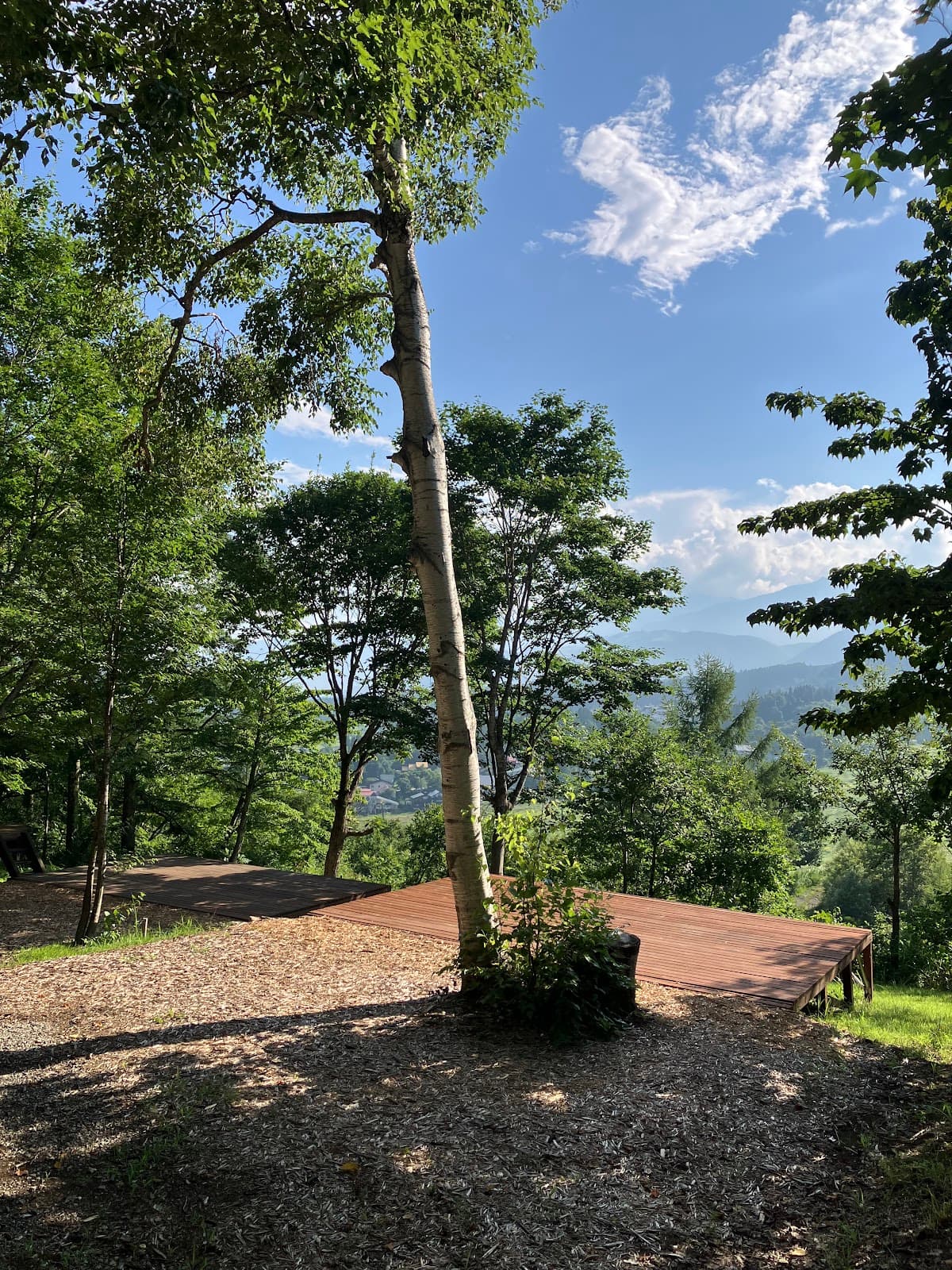 コルチナオートキャンプ場フォレストエリア