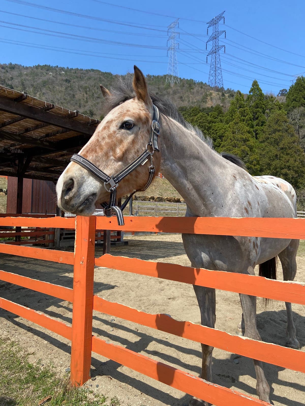 青戸ベイサイドヒルズ