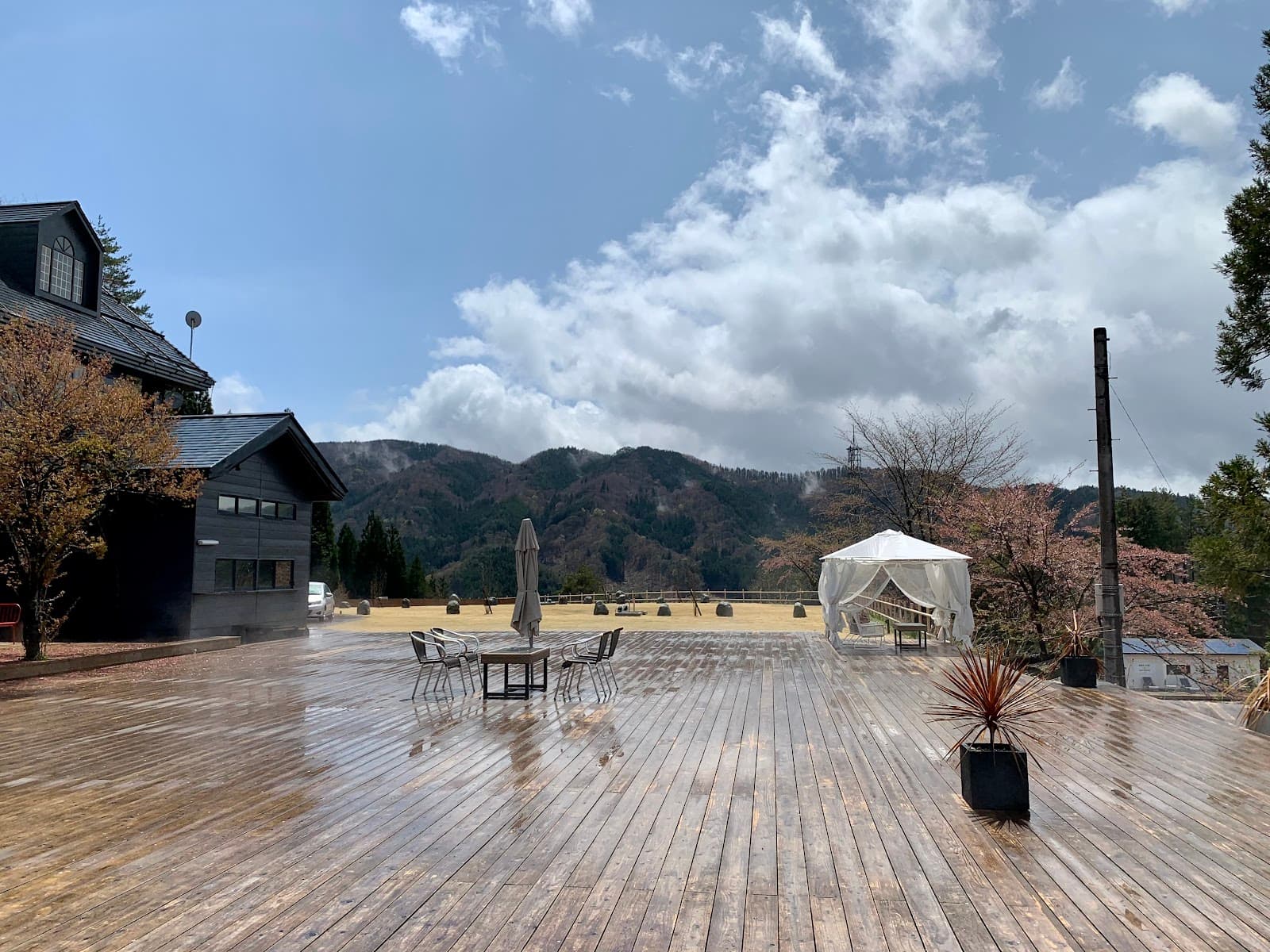 エナジー アクティブフィールドしらお