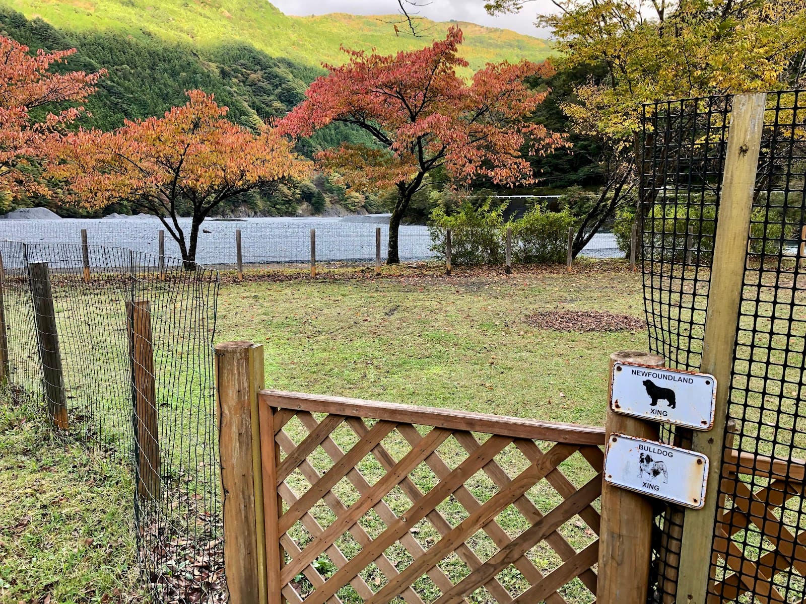 オートキャンプ場内ドッグラン