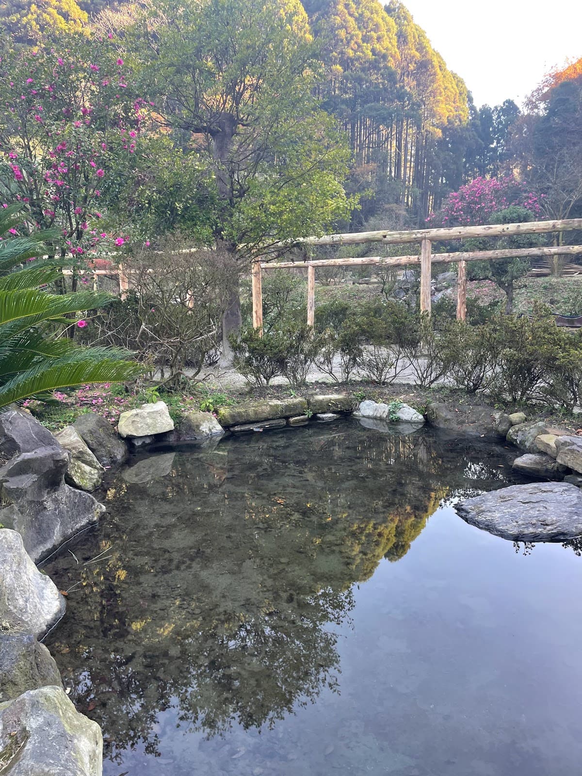 前田お父さんのキャンプ場