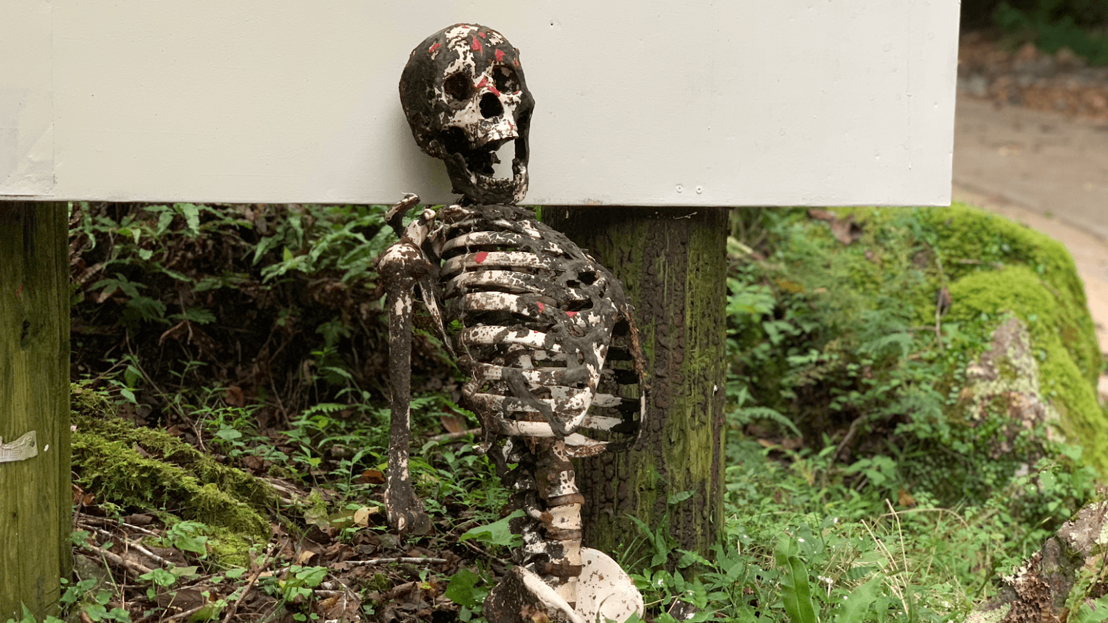 へんな村 キャンプ場