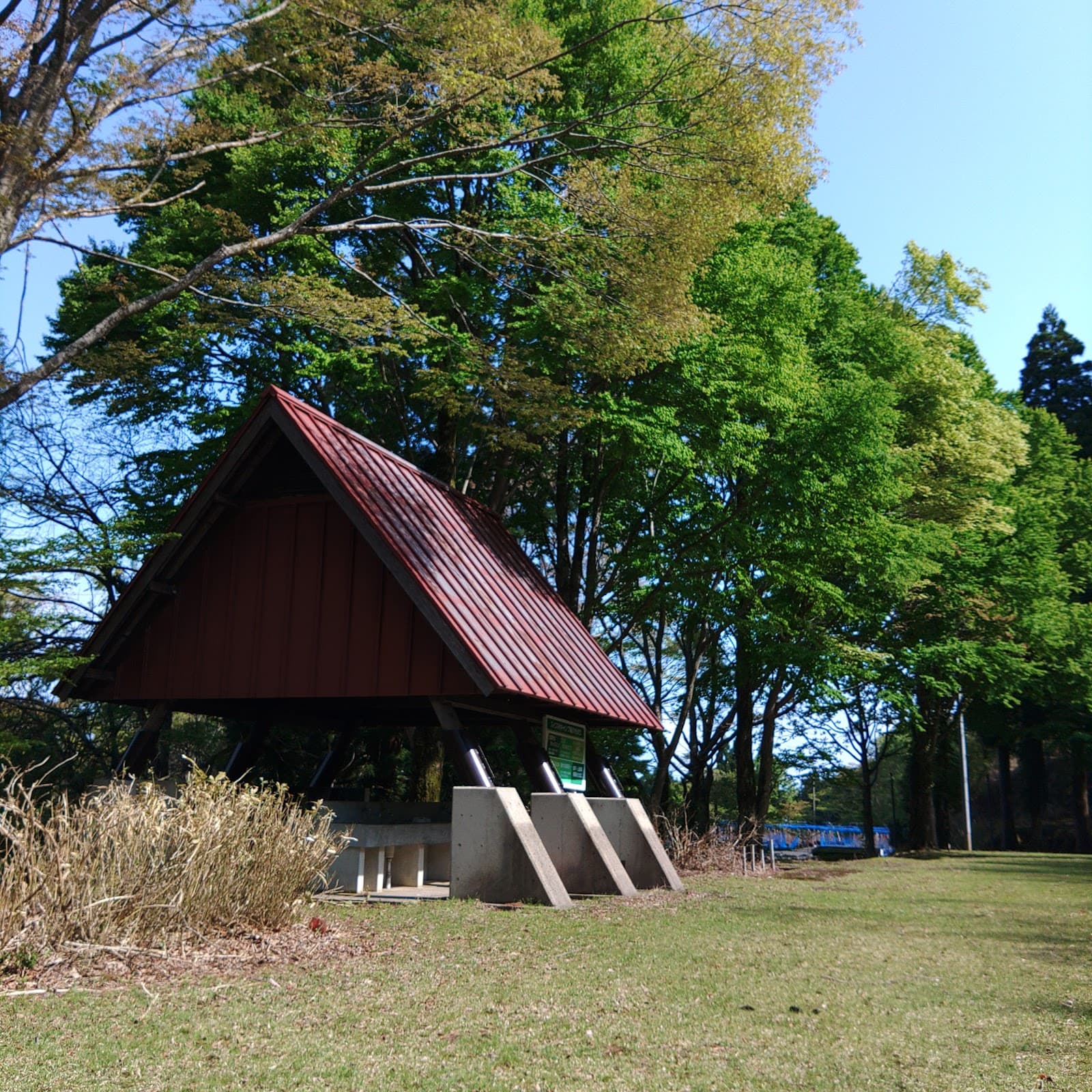 京丹後森林公園スイス村第1キャップ場
