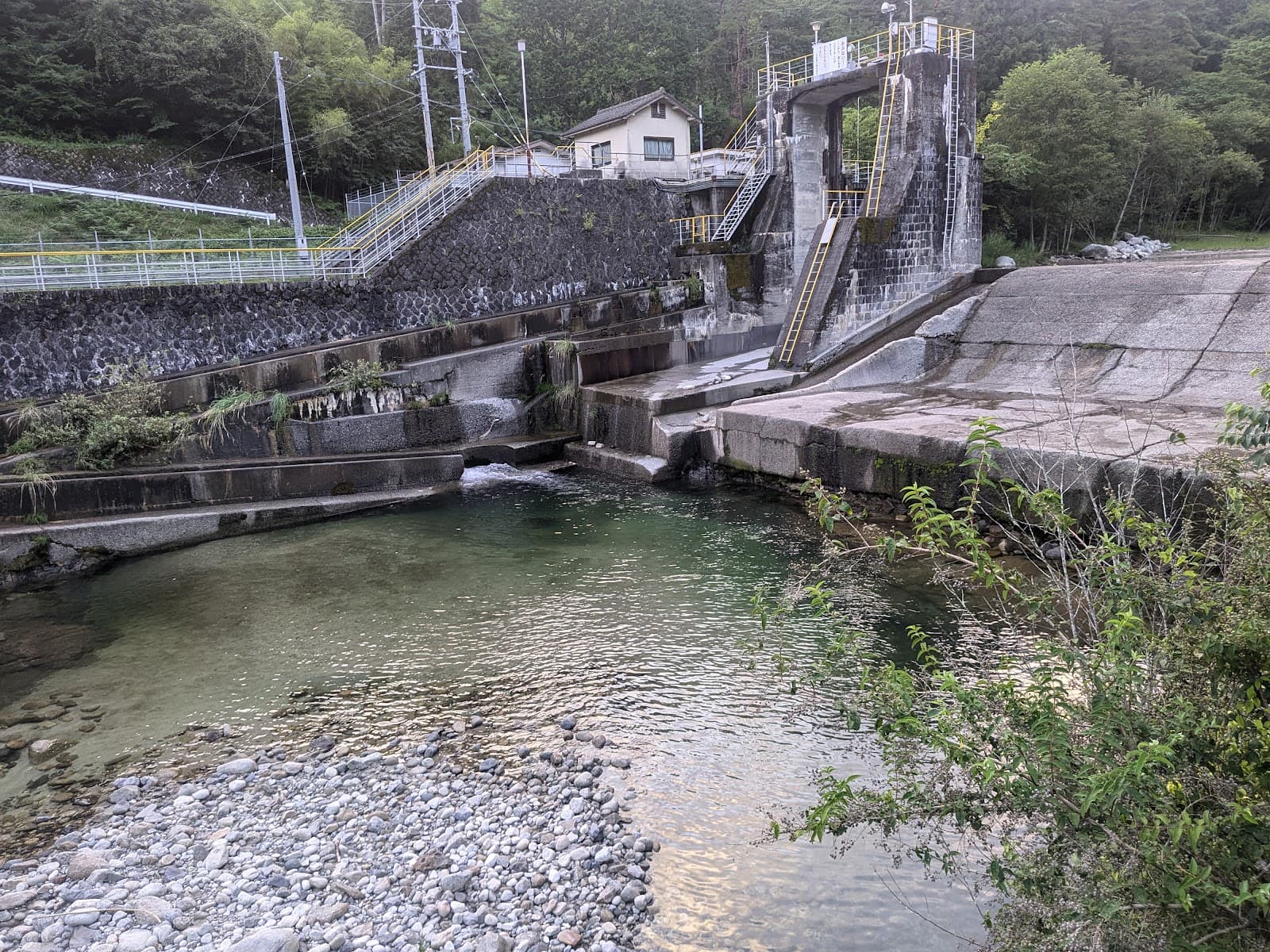 むくの里 キャンプ場