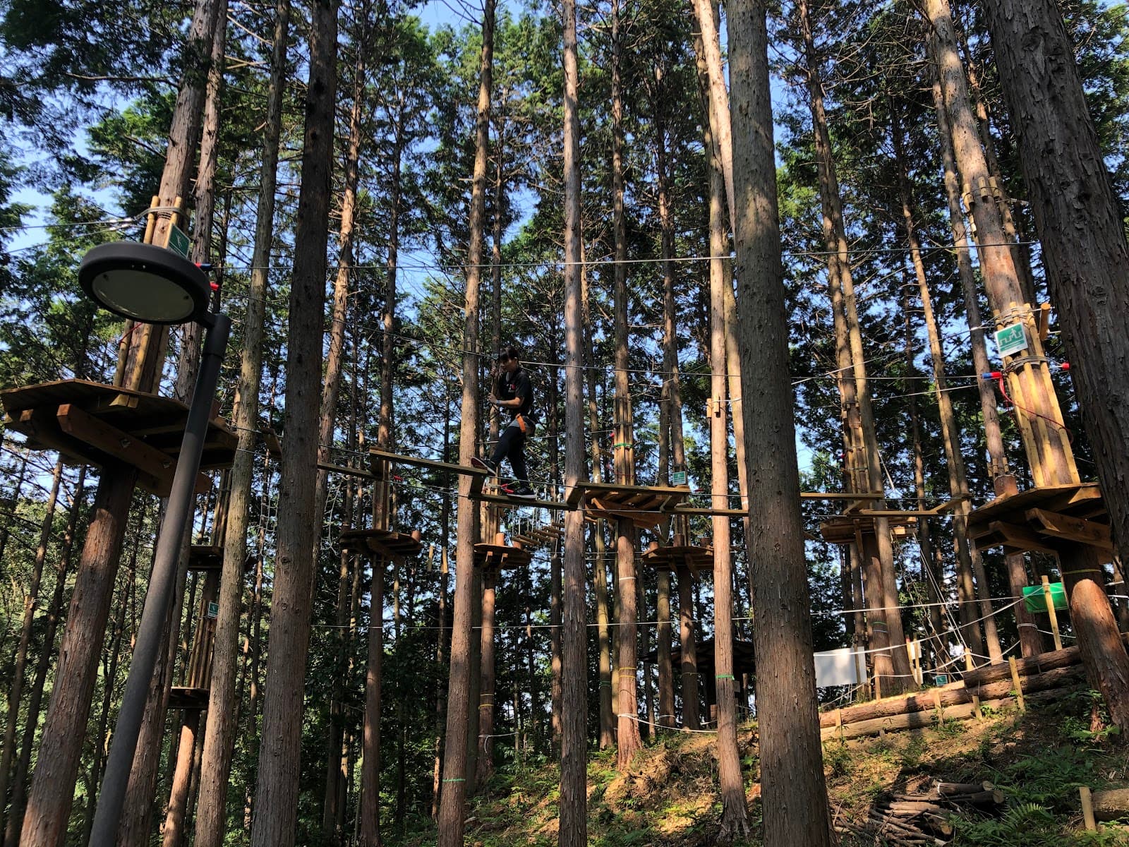 ボウケンノモリ おうじ