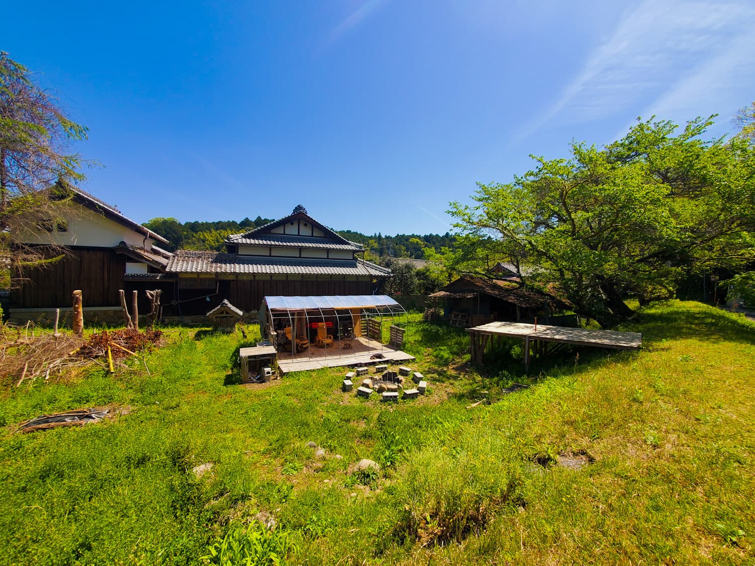桜並木の木津川ガーデン