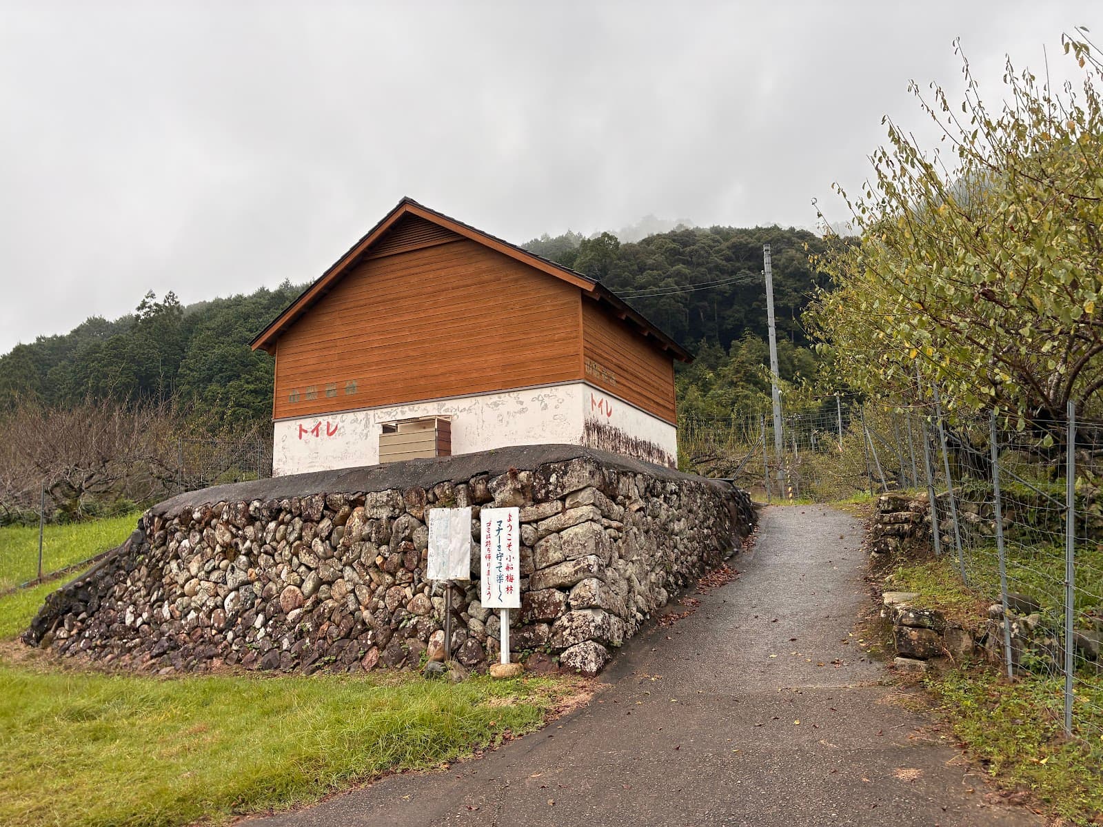 小船キャンプ場