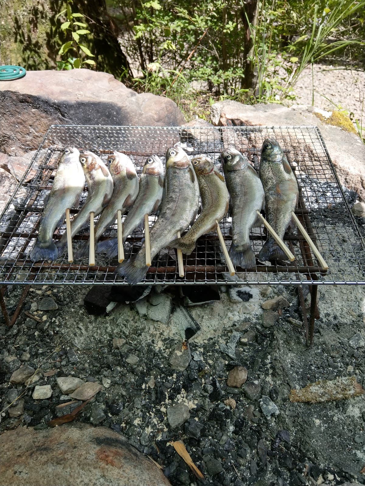 林間広場（道の駅 つぐ高原グリーンパーク）