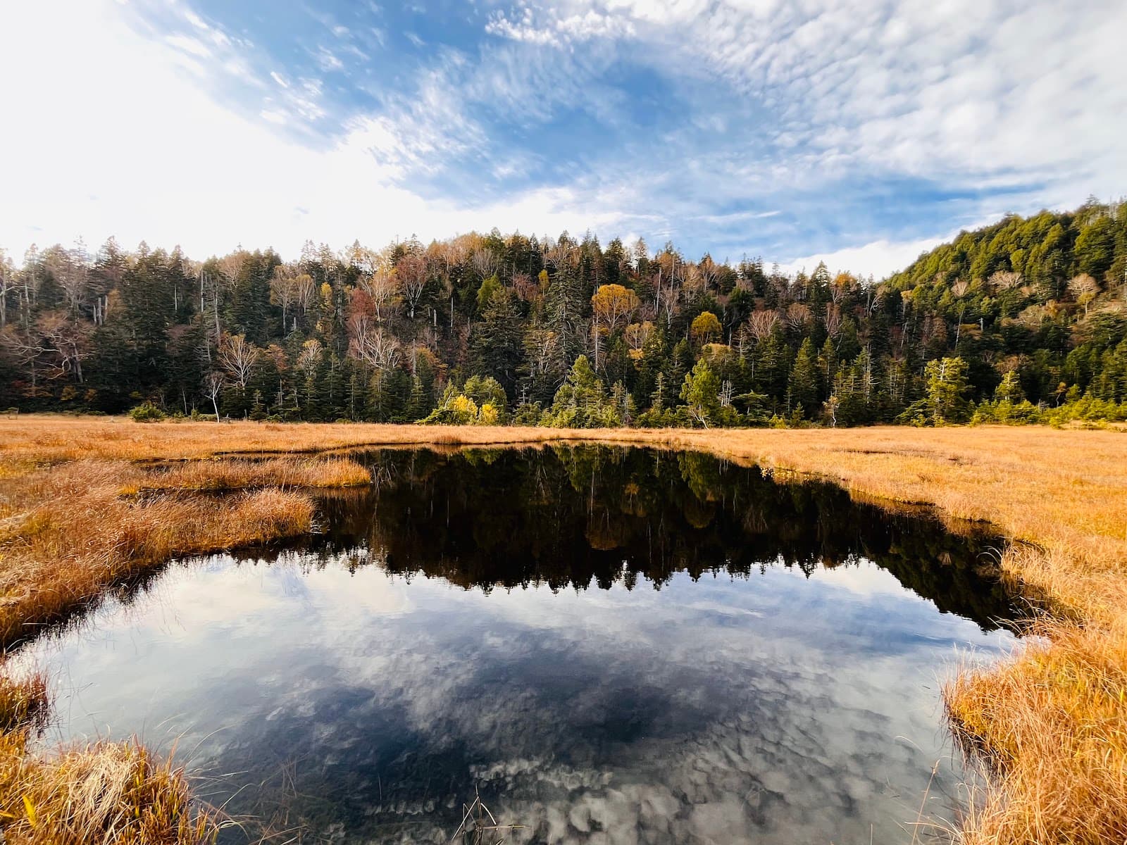 グリーンパーク尾瀬戸倉