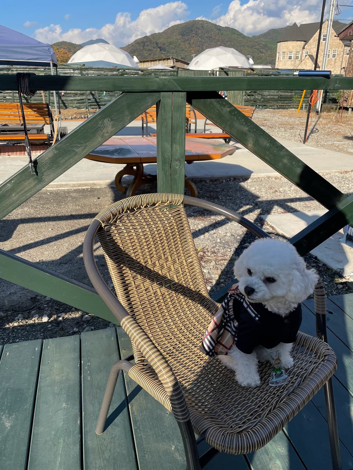 西伊豆ぐらんぷ