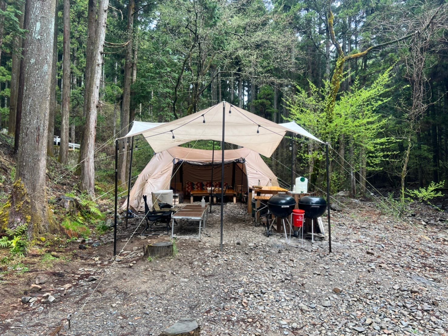 ジャパンネイチャークラブ