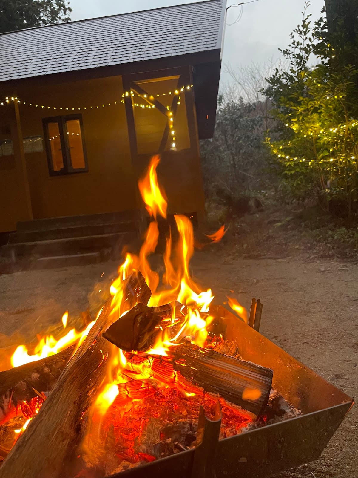 糸島市森林公園 真名子木の香ランド キャンプ場