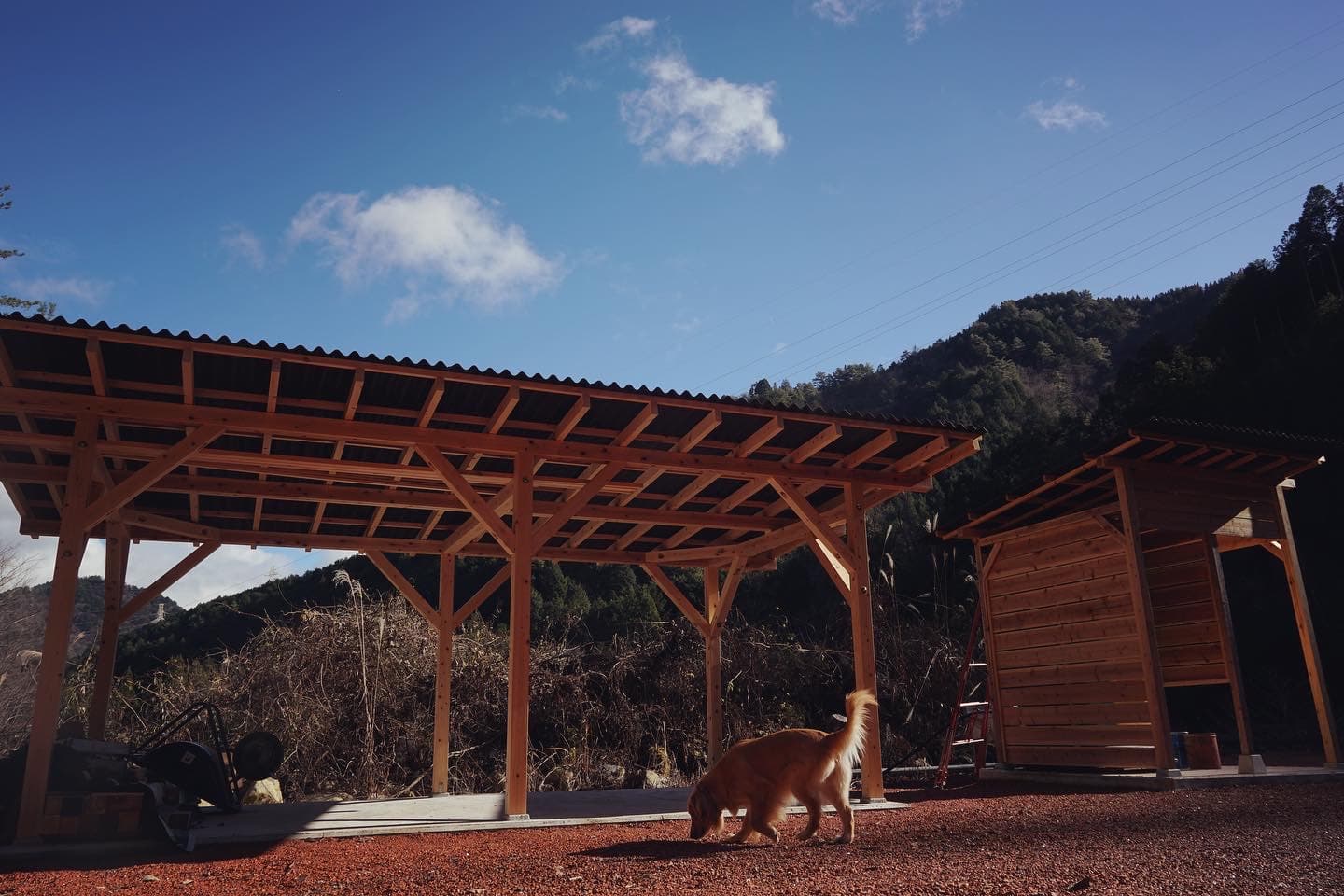 奥ノ田ハナレサイト