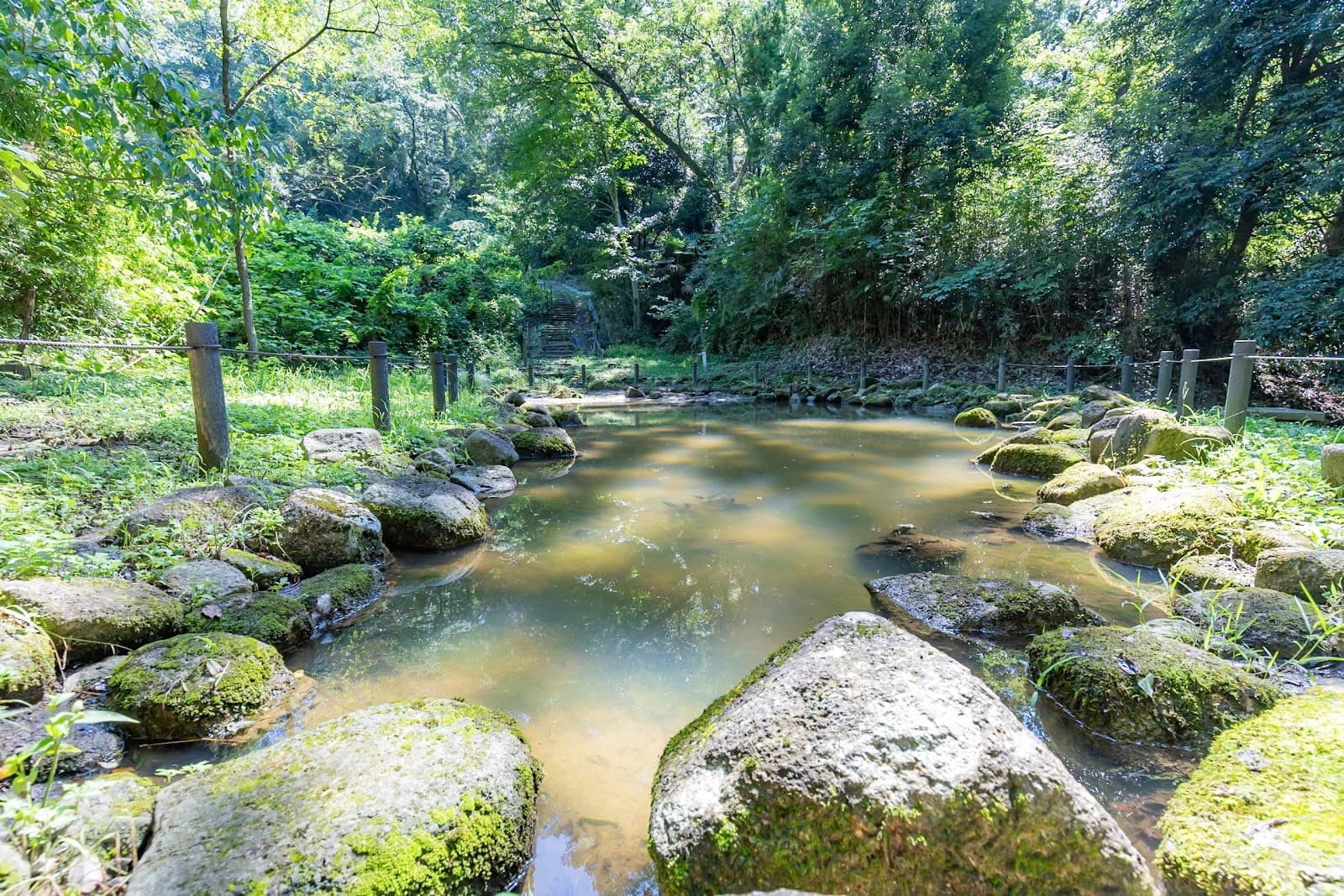 稲城ふれあいの森