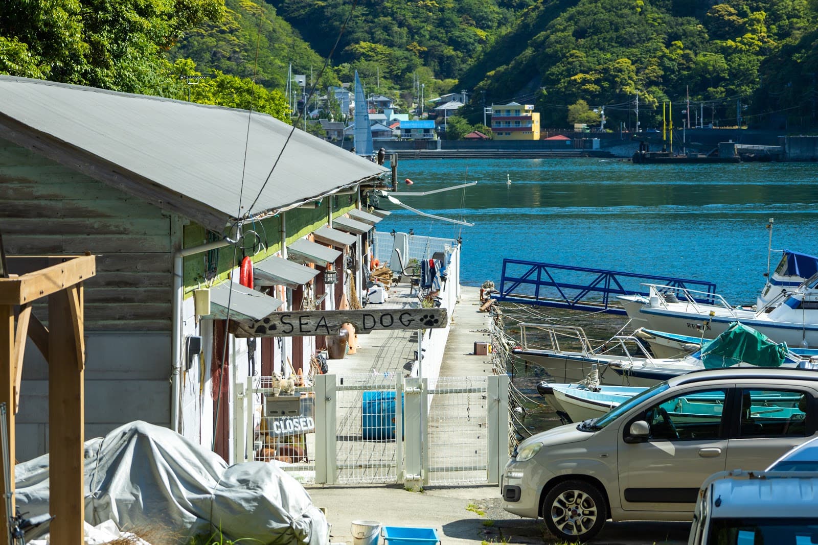 安良里シードッグ