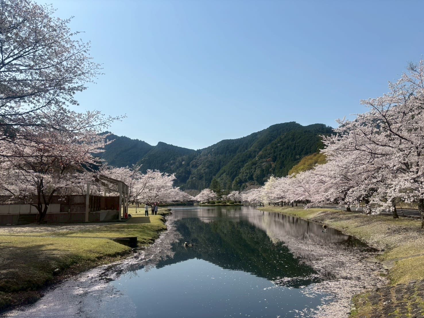 下北山スポーツ公園 きなりの郷