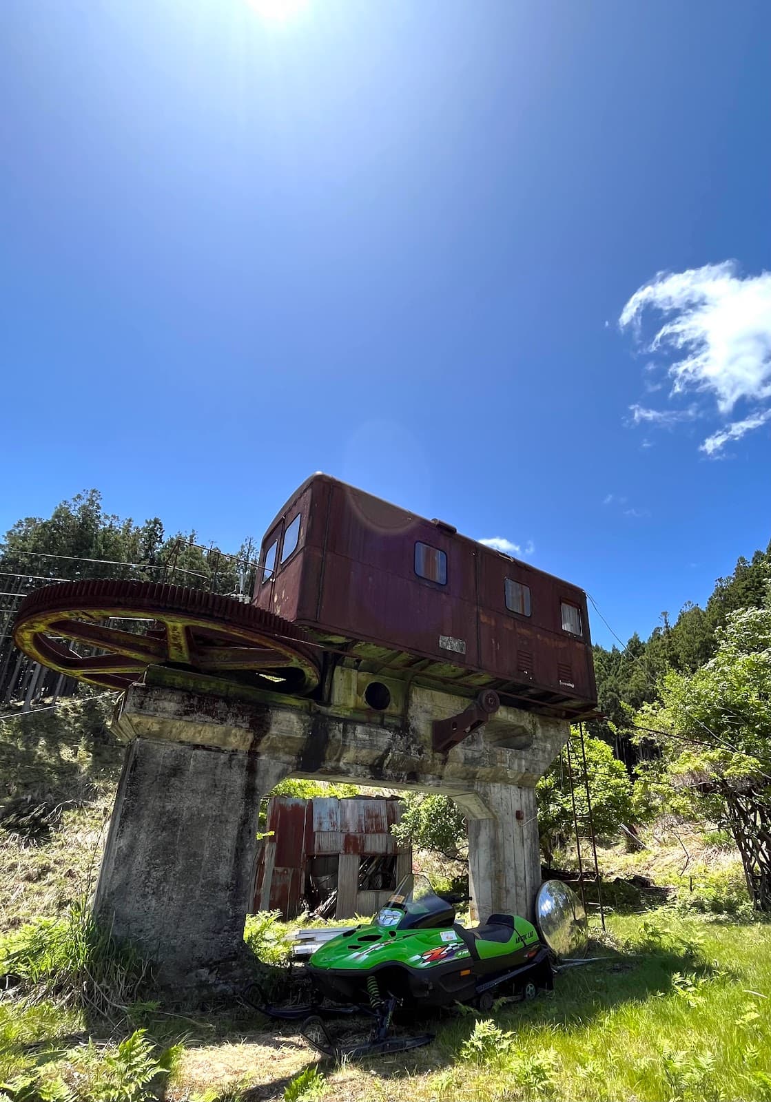 ワイルドフィールドハナセ