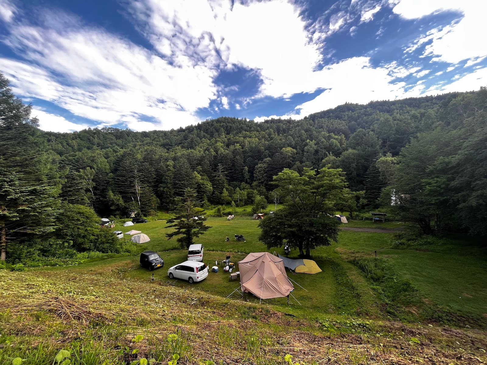 ヤマボクグリーンサイト