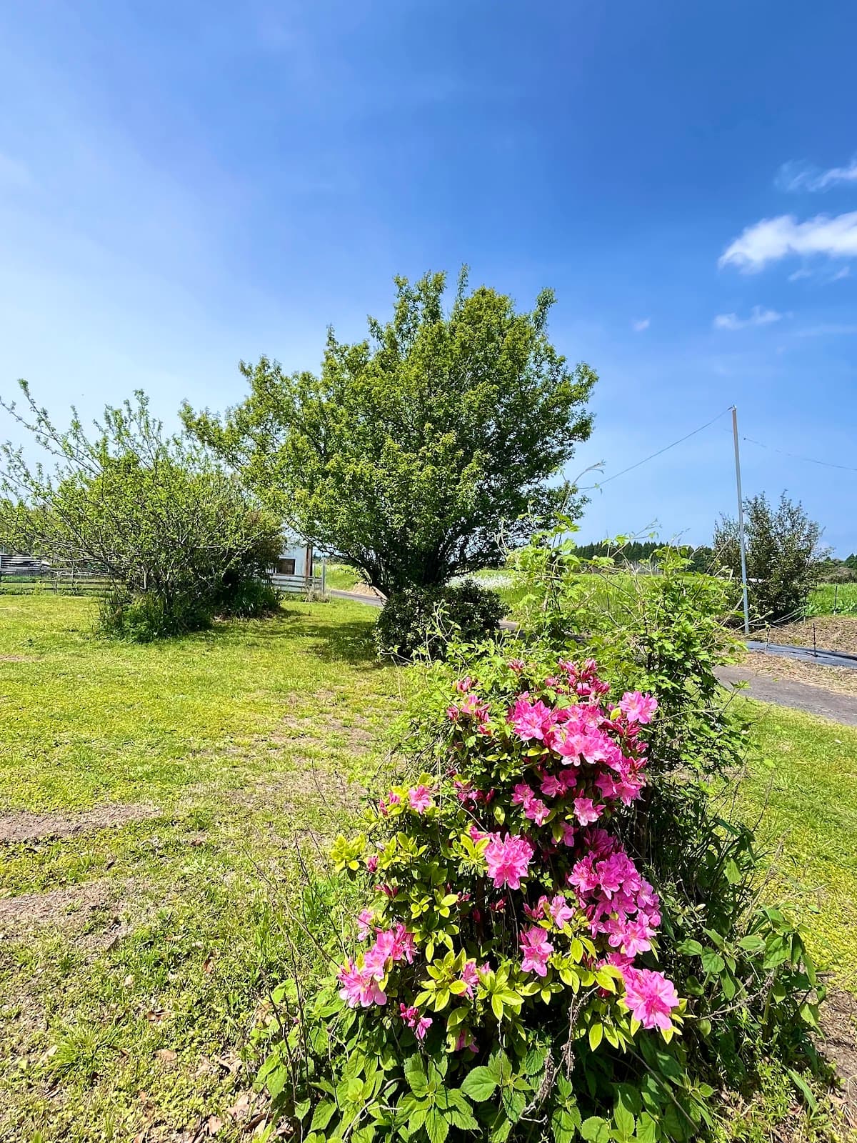 ペロズビレッジ