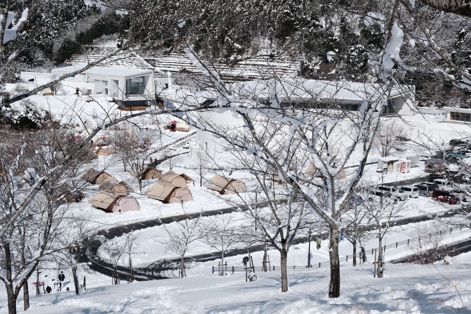 DODのキャンプ「カマボコテント3L/3M」