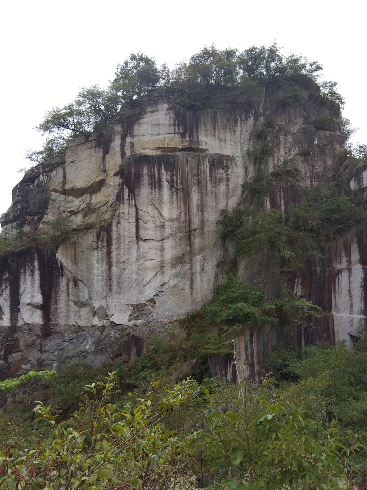 フォレンタ笠間（石切エリア）