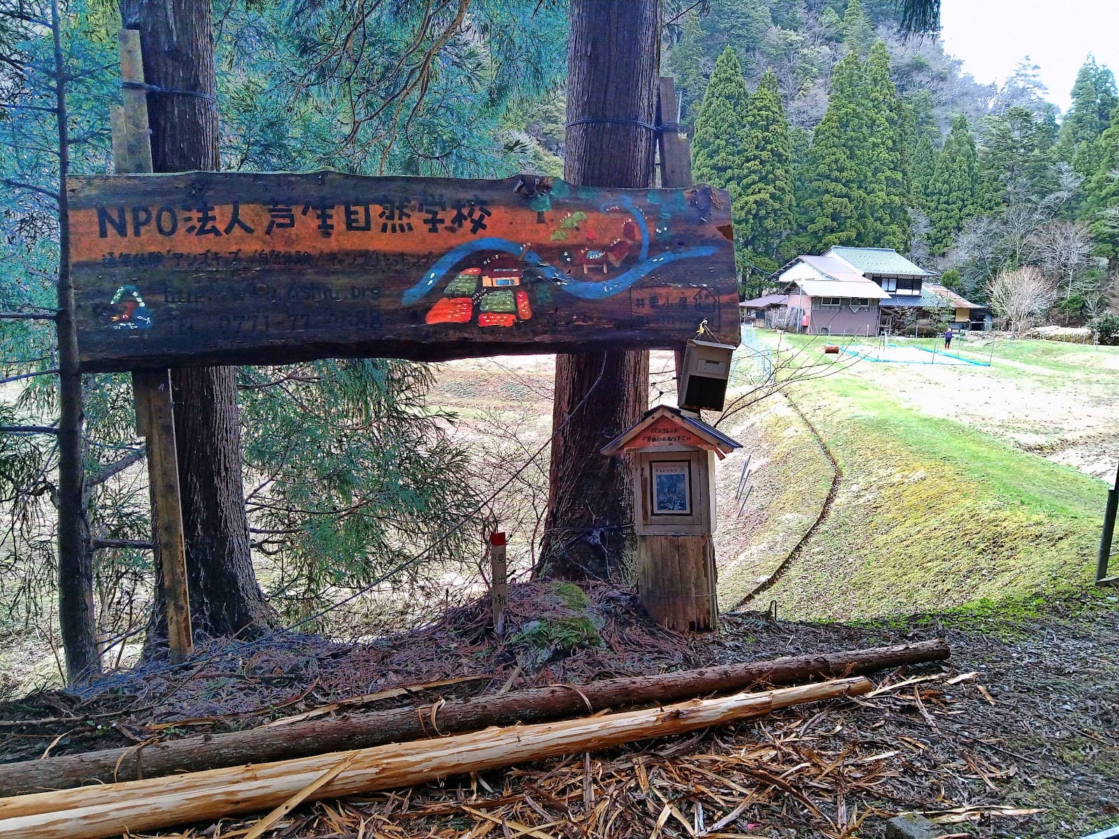 芦生自然学校キャンプ場