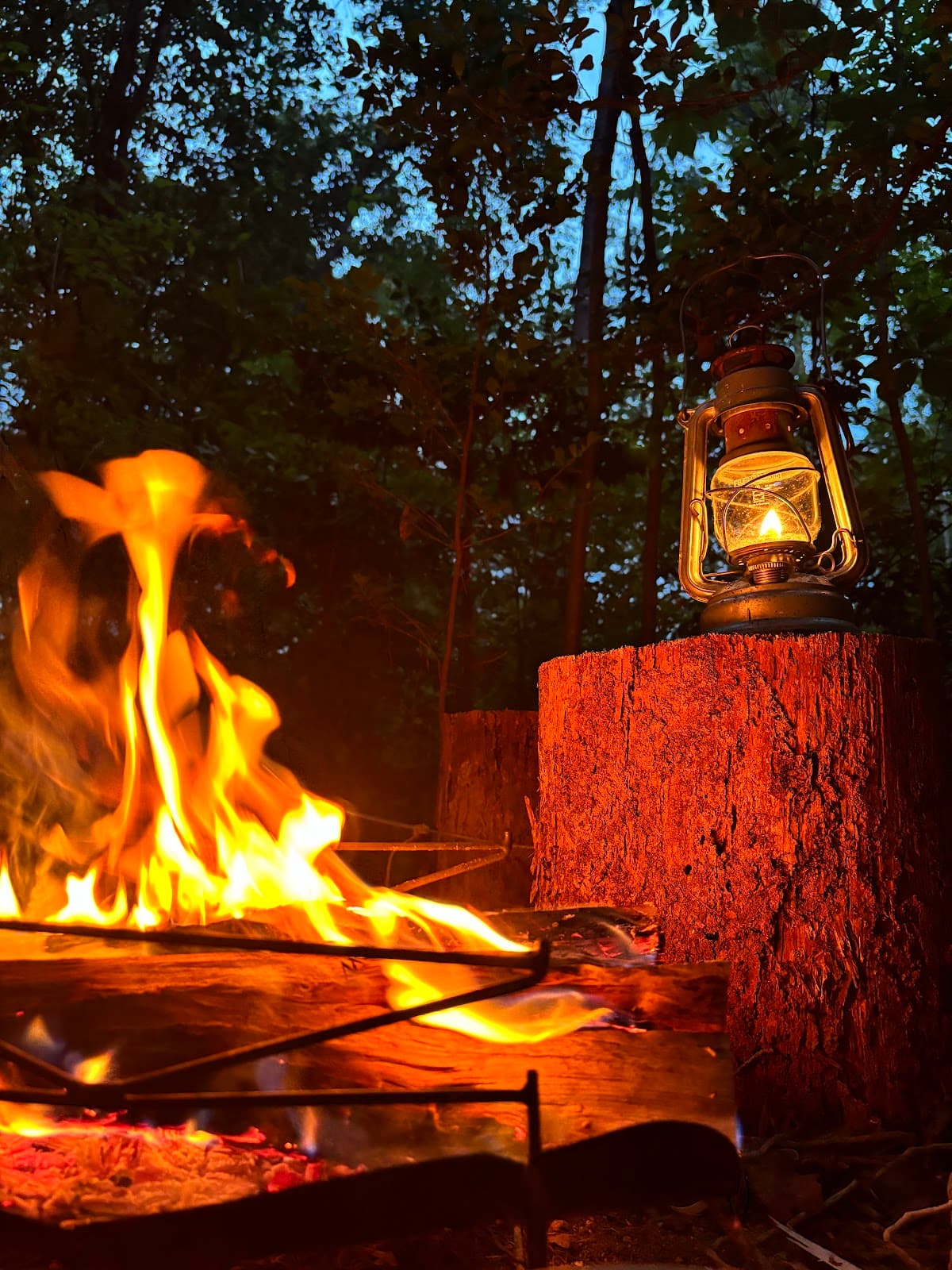 FBR (Forest Base Rokko)