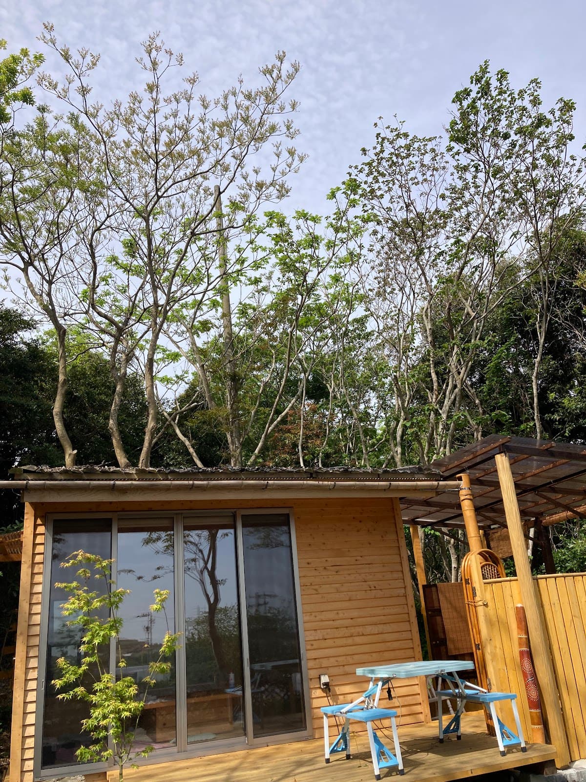 お茶畑のとなり