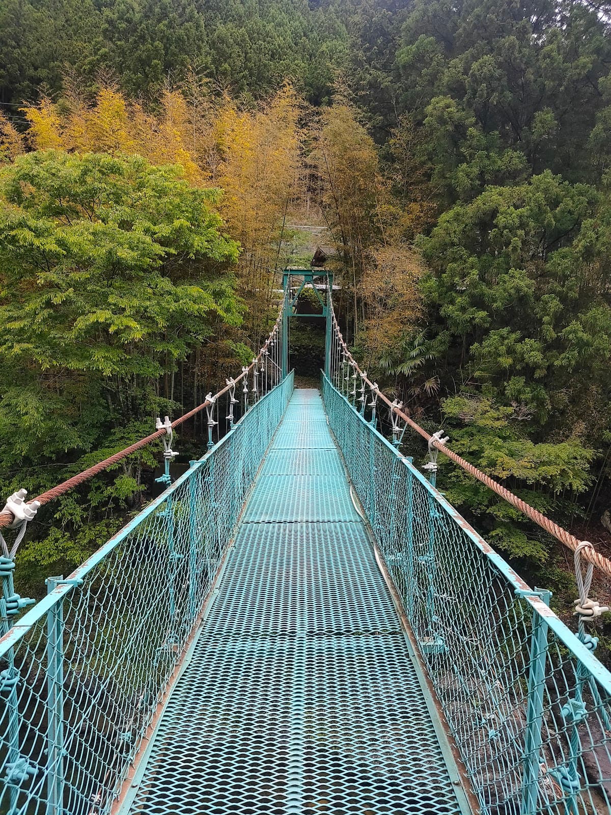 オートキャンプ場庵の郷