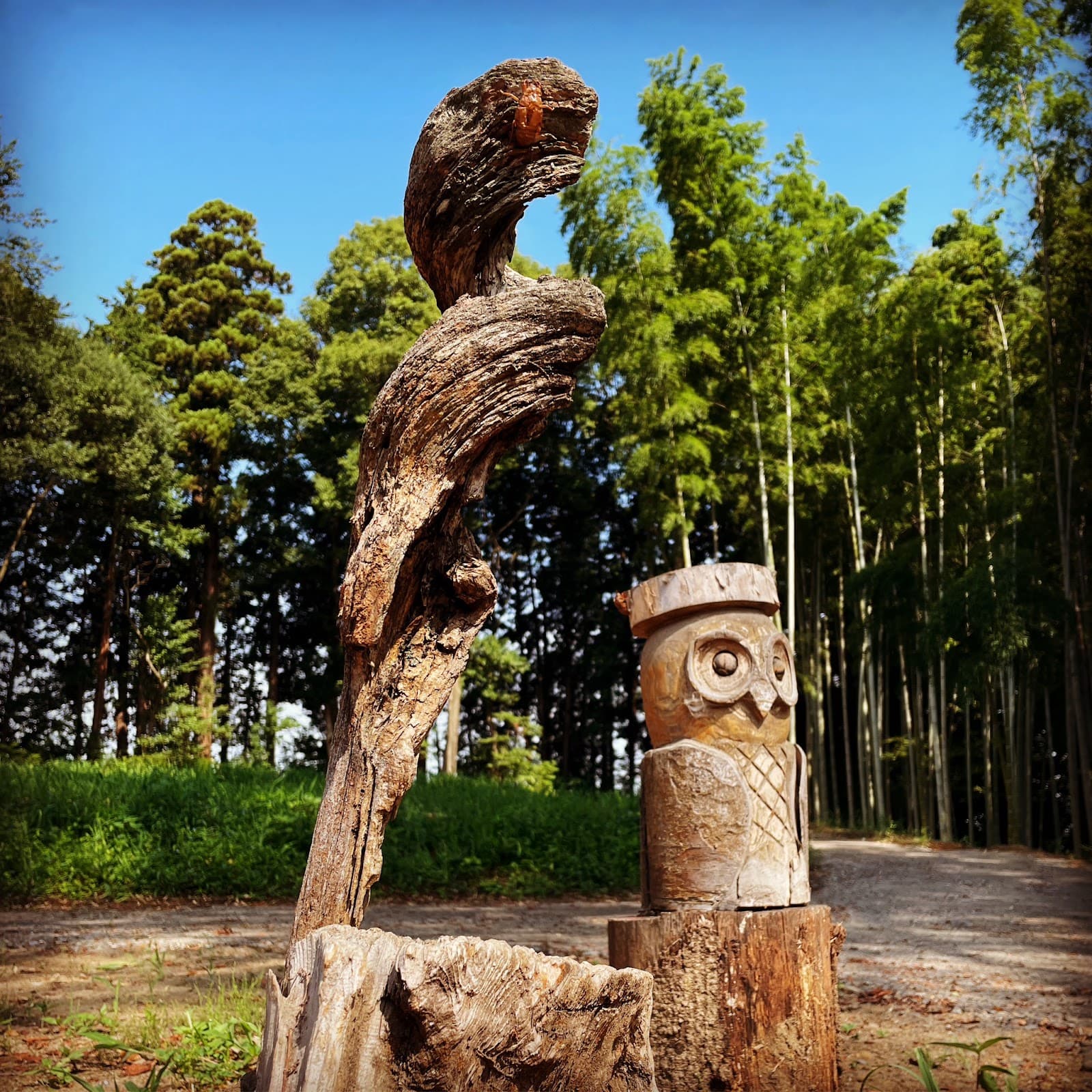 皆野キャンプ場