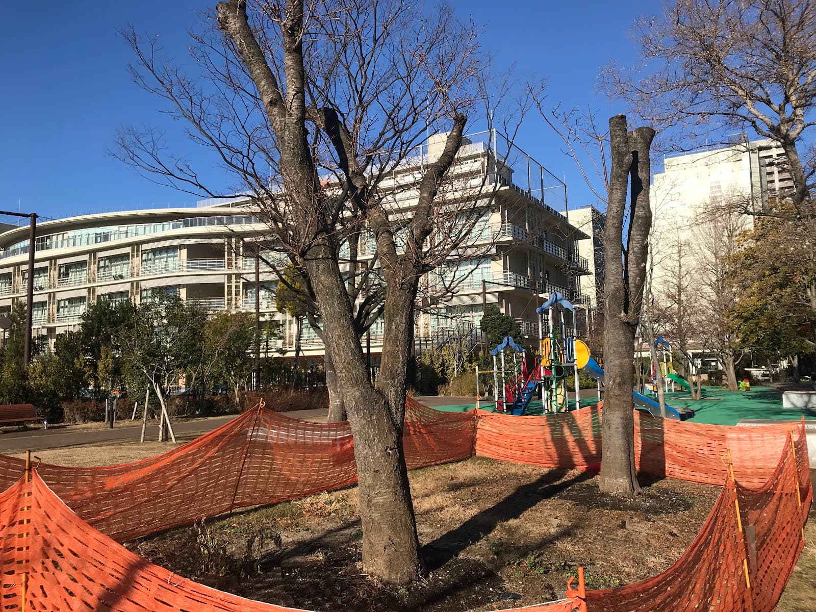 豊海運動公園デイキャンプ場