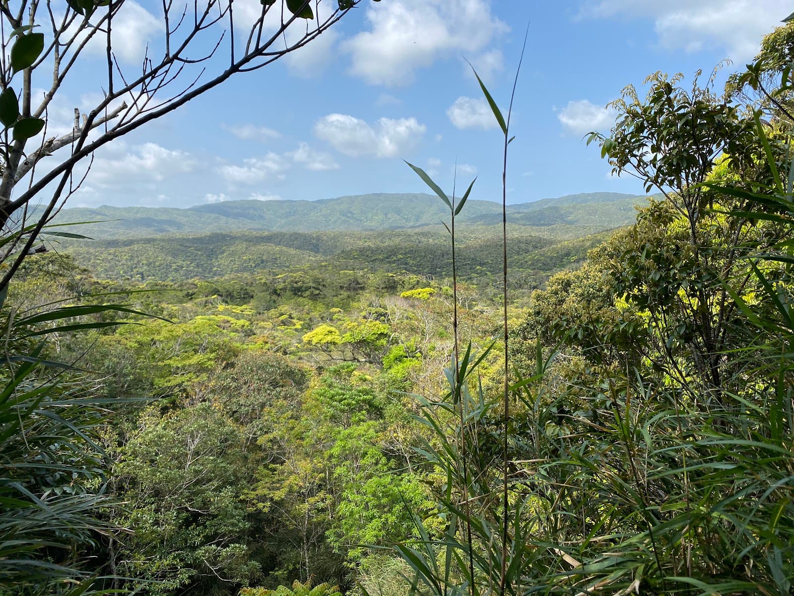 国頭村環境教育センター やんばる学びの森