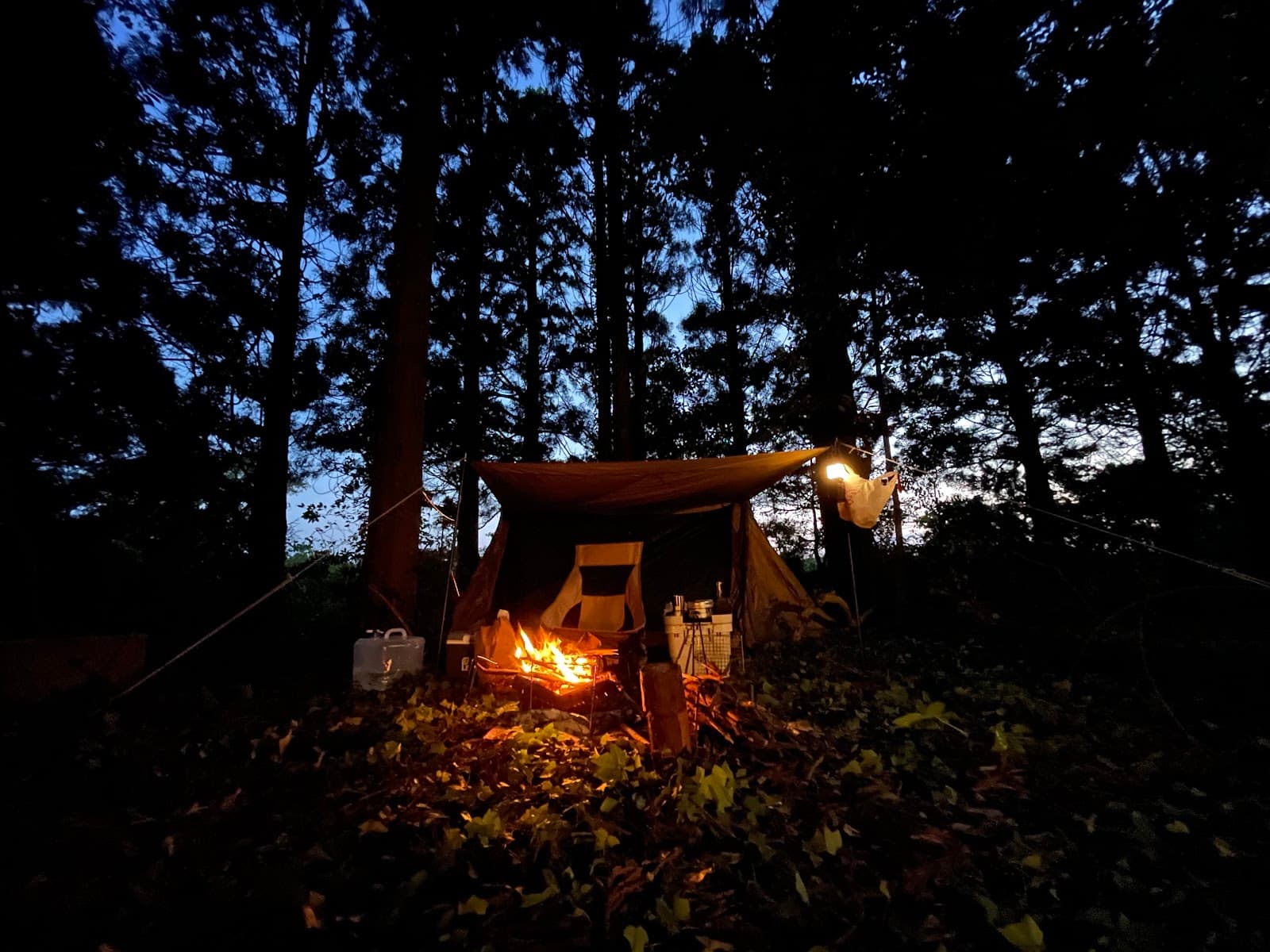 狐森島キャンプ場