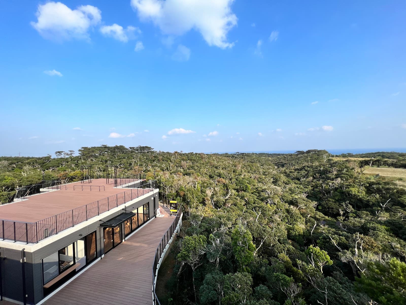 道の駅 やんばるパイナップルの丘 安波