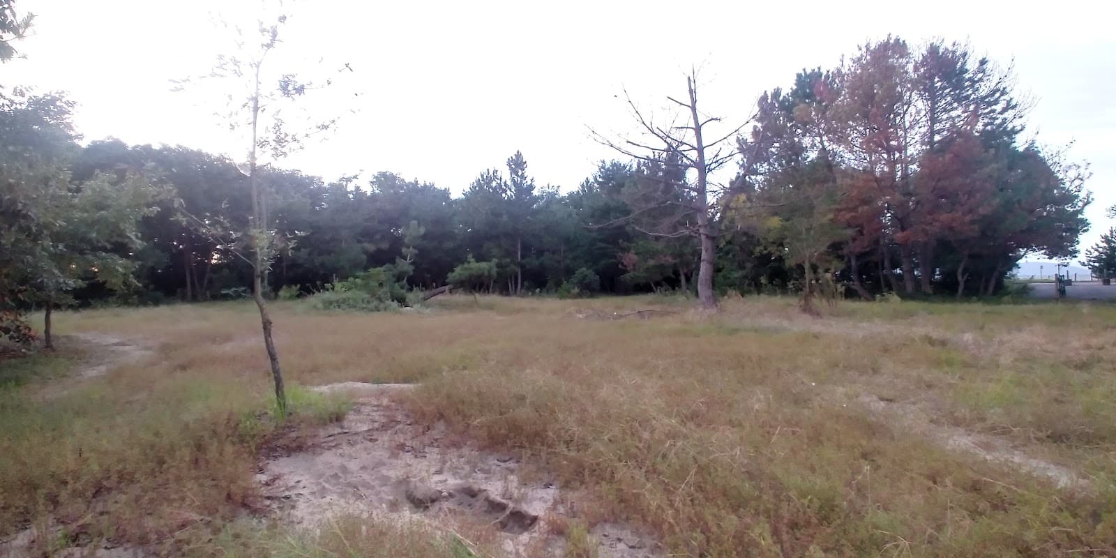 京都ＹＭＣＡ佐波江教育キャンプ場