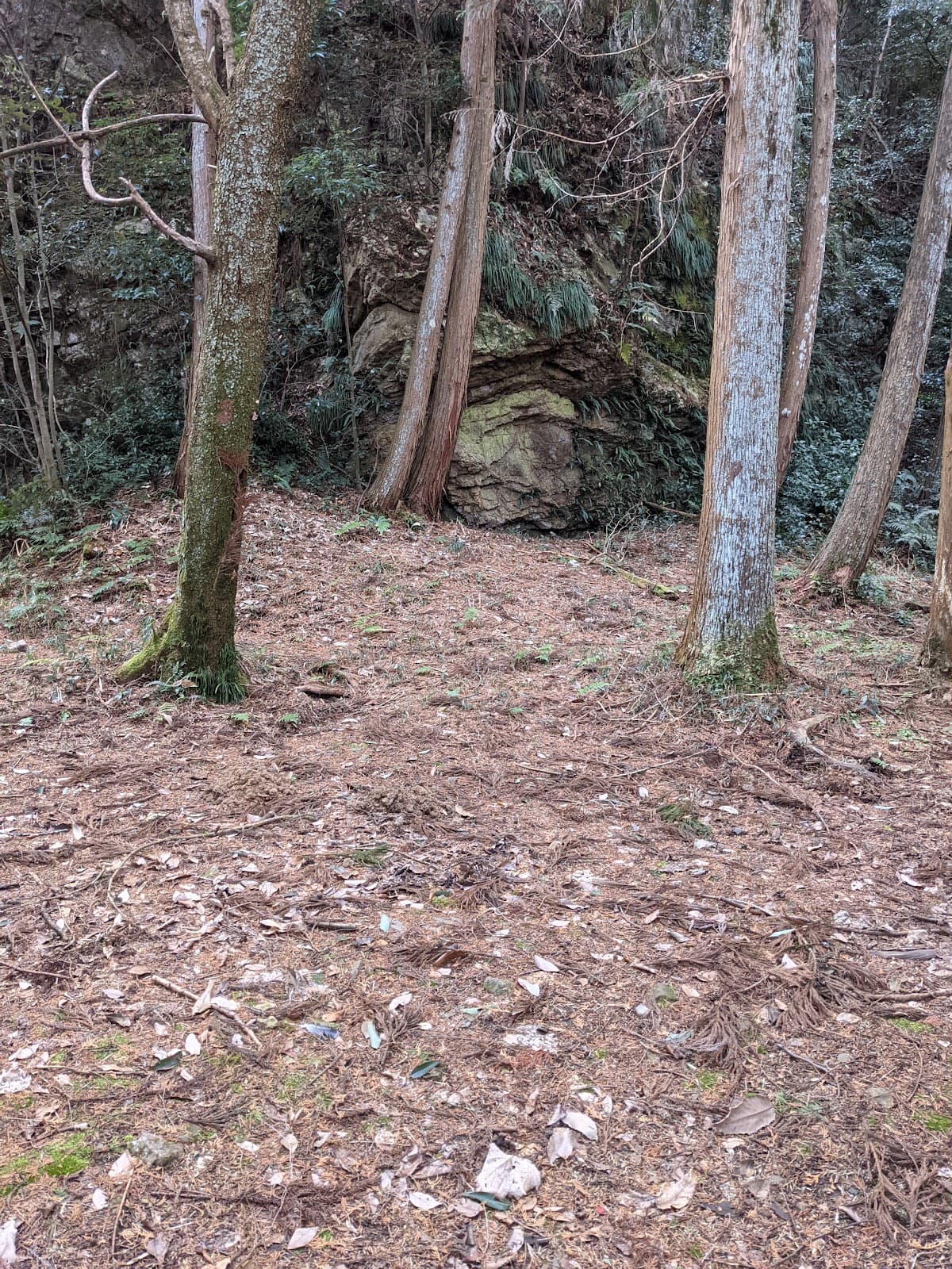 富加の森野営場