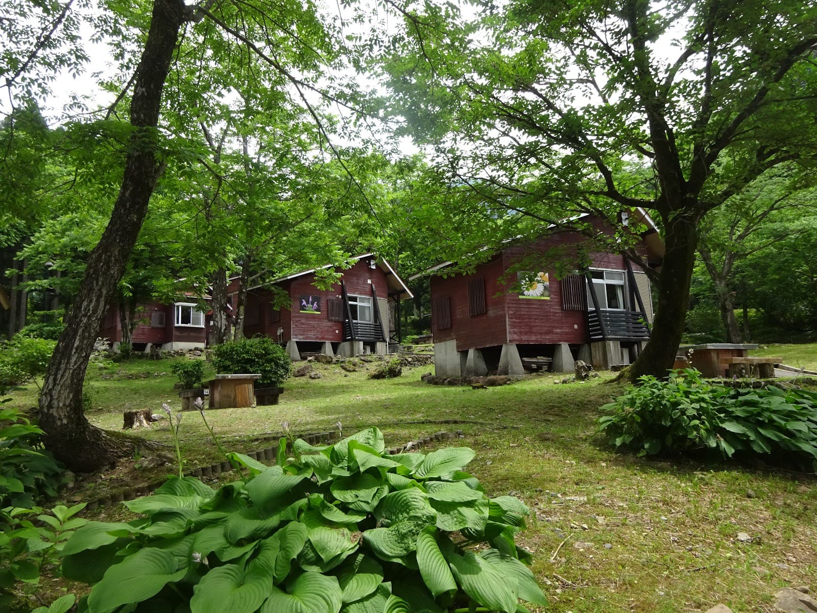 キャンプ&リゾート 立山山麓家族旅行村 Tateyama Sanroku Family Camping & Resort