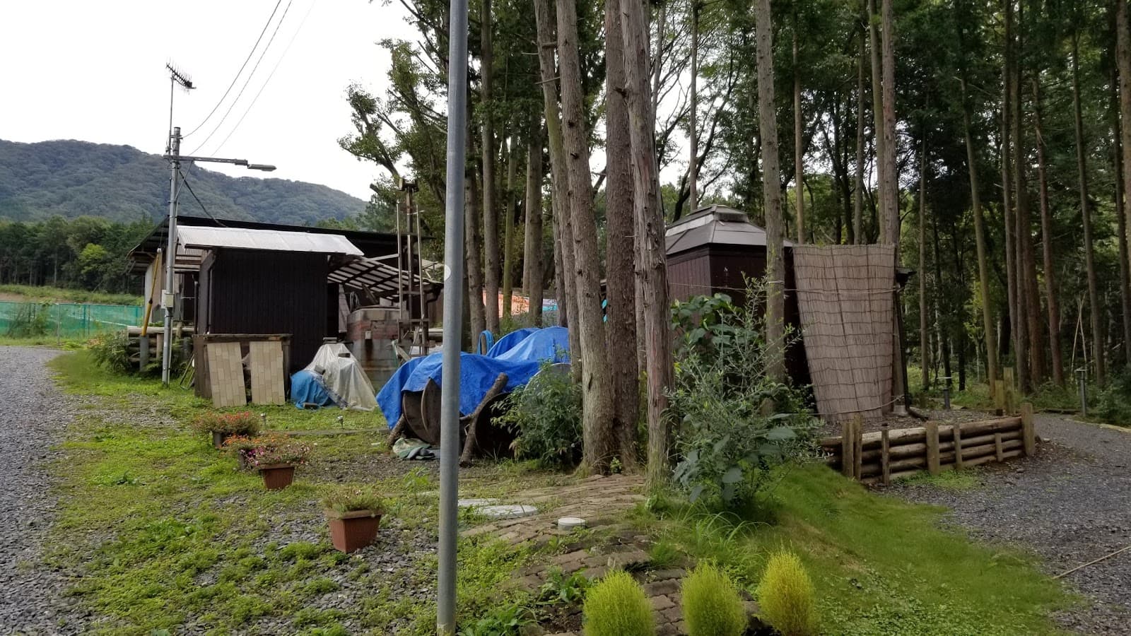 とんぼヴィレッジ