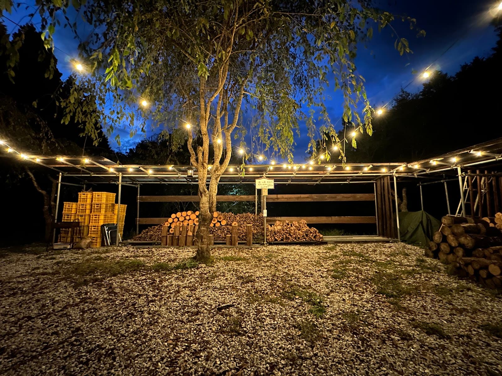 ぼくのキャンプ場