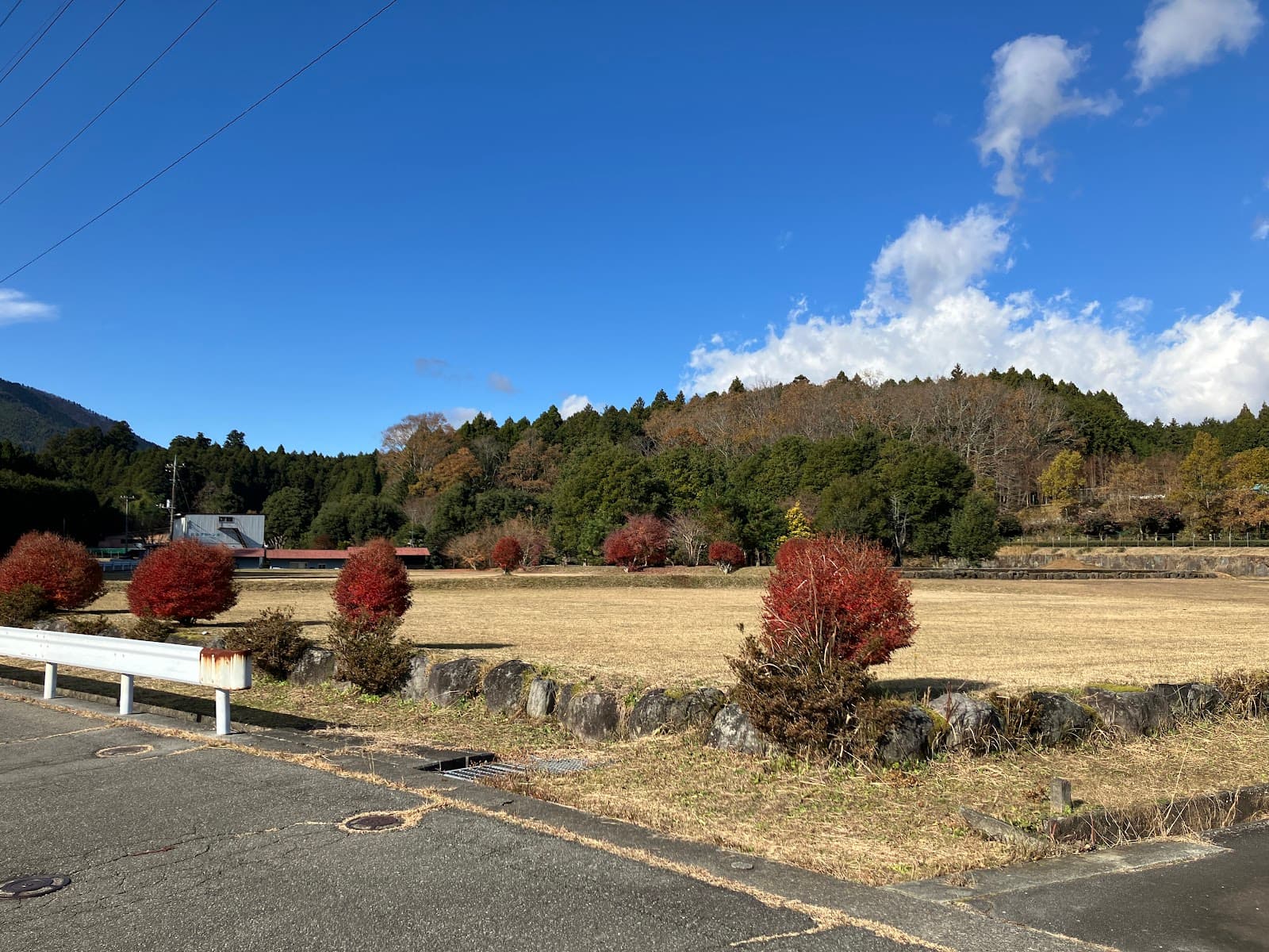須山柳沢キャンプ場