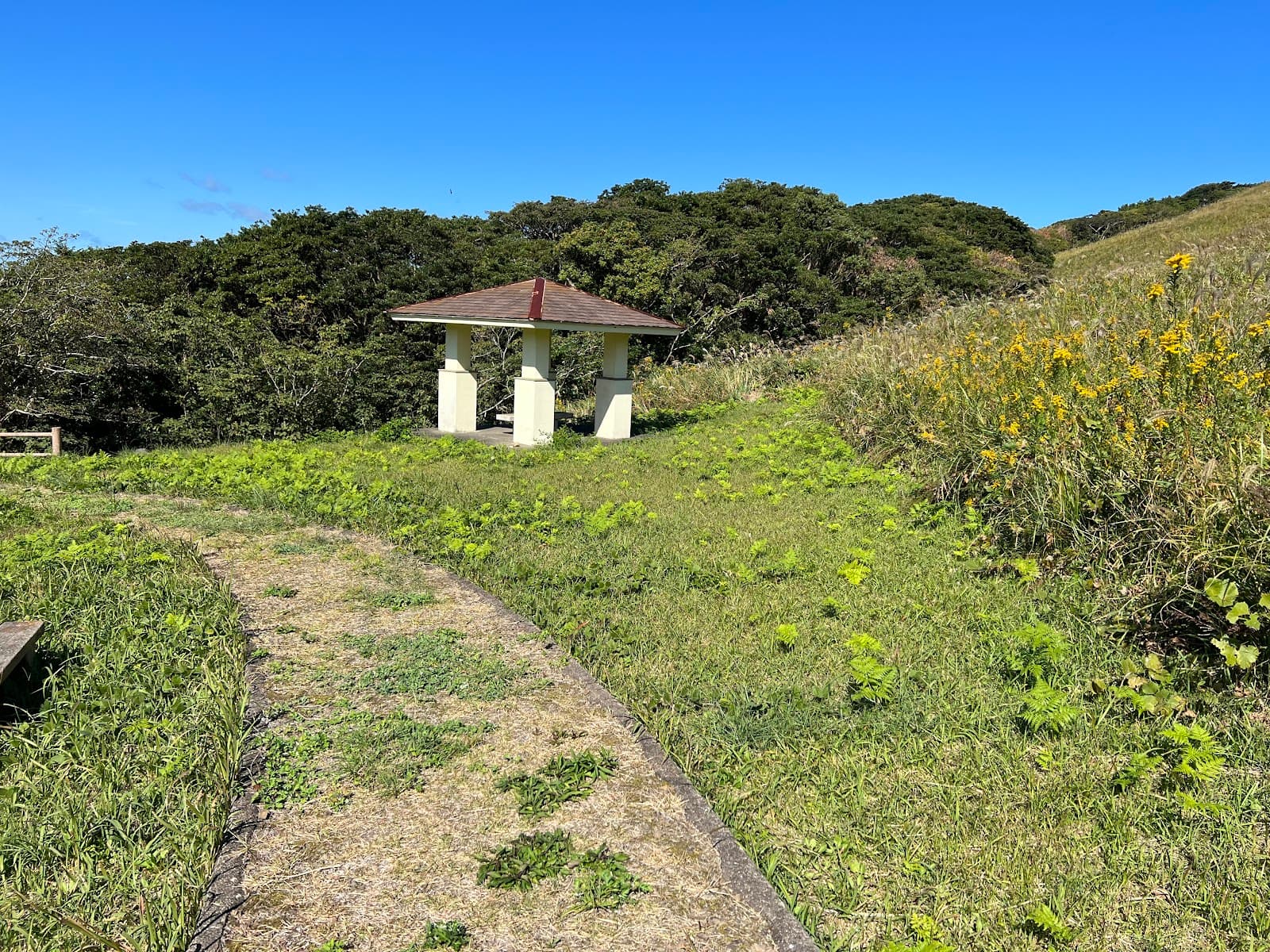 川内峠デイキャンプ場