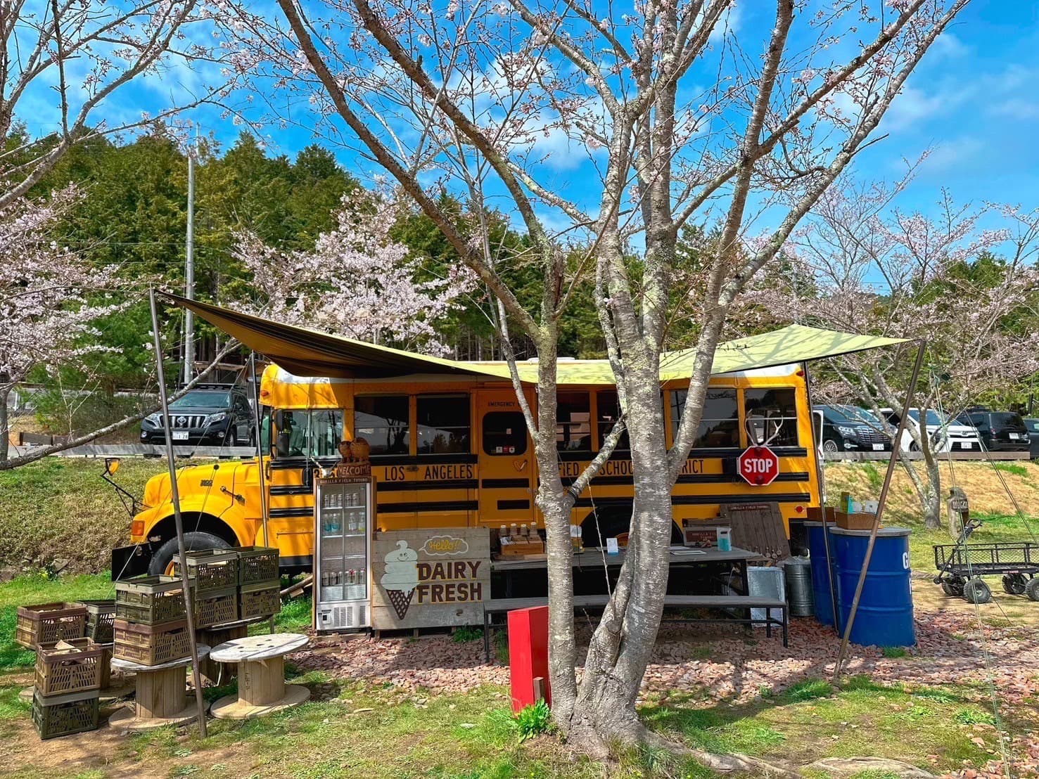 ゴリラフィールドとよのキャンプ場 GORILLA FIELD TOYONO