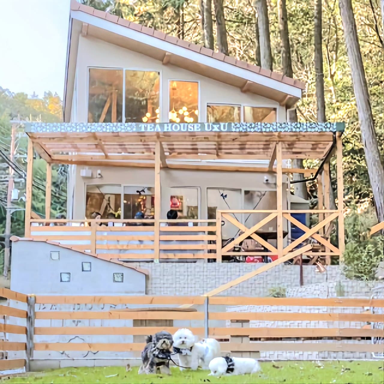 RVパーク｜京都湯の花（TEA HOUSE UxU）