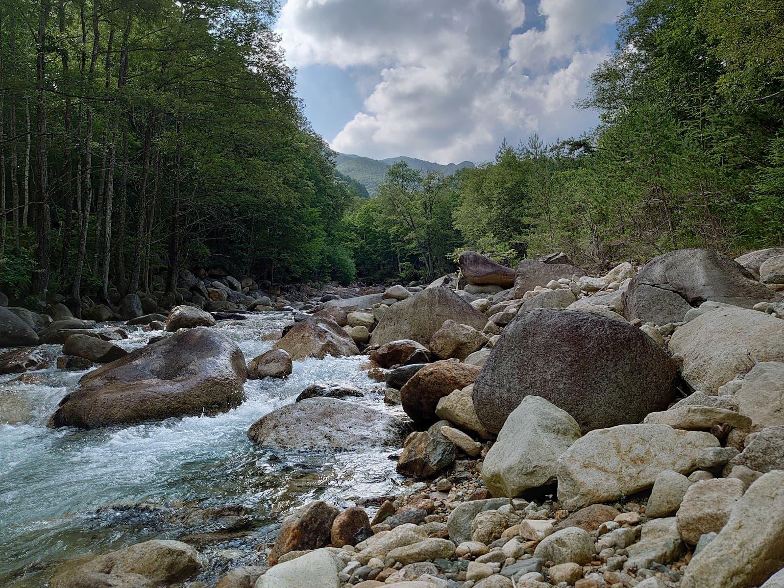 千曲源流金峰ふれあいの森