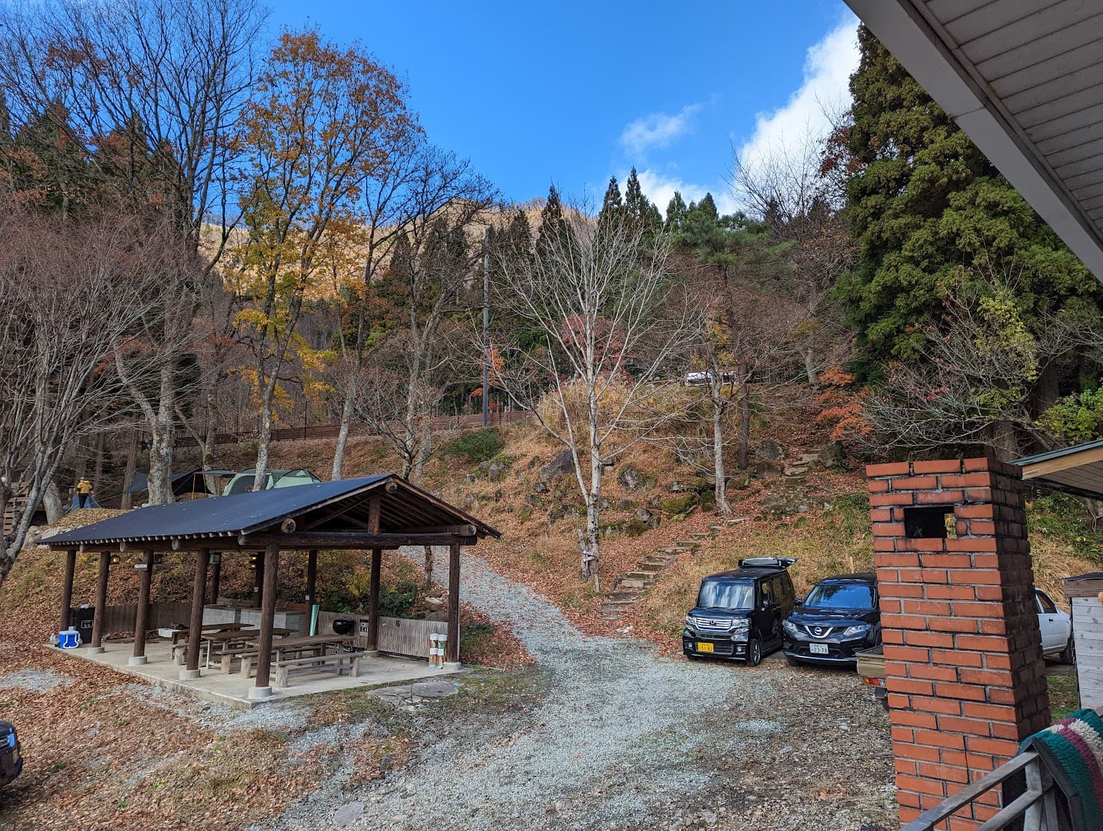 森とぼくの休日