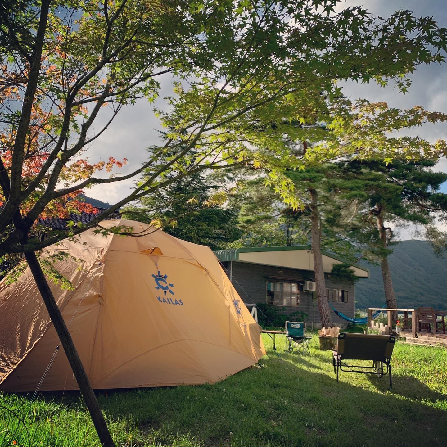 ねまるちゃテラスキャンプ場