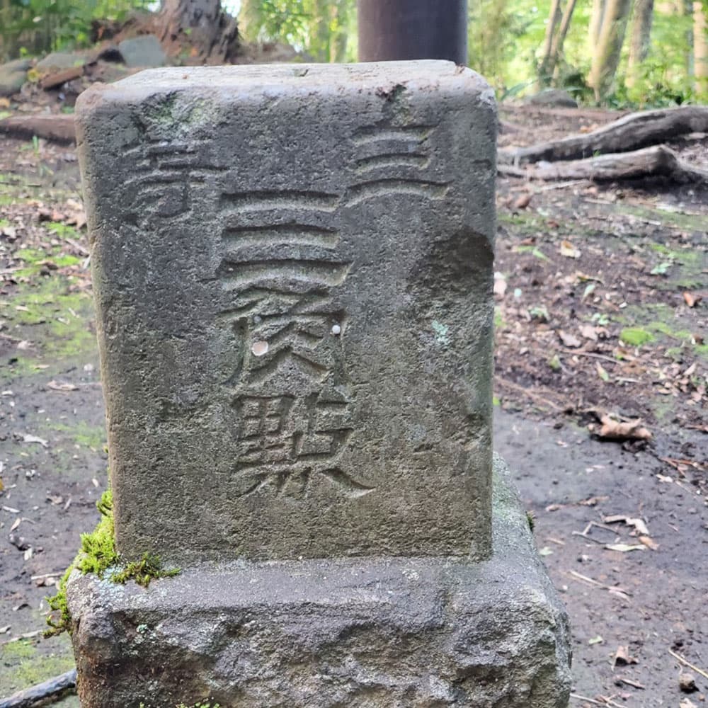 マイキャンプ 小田原 入生田4