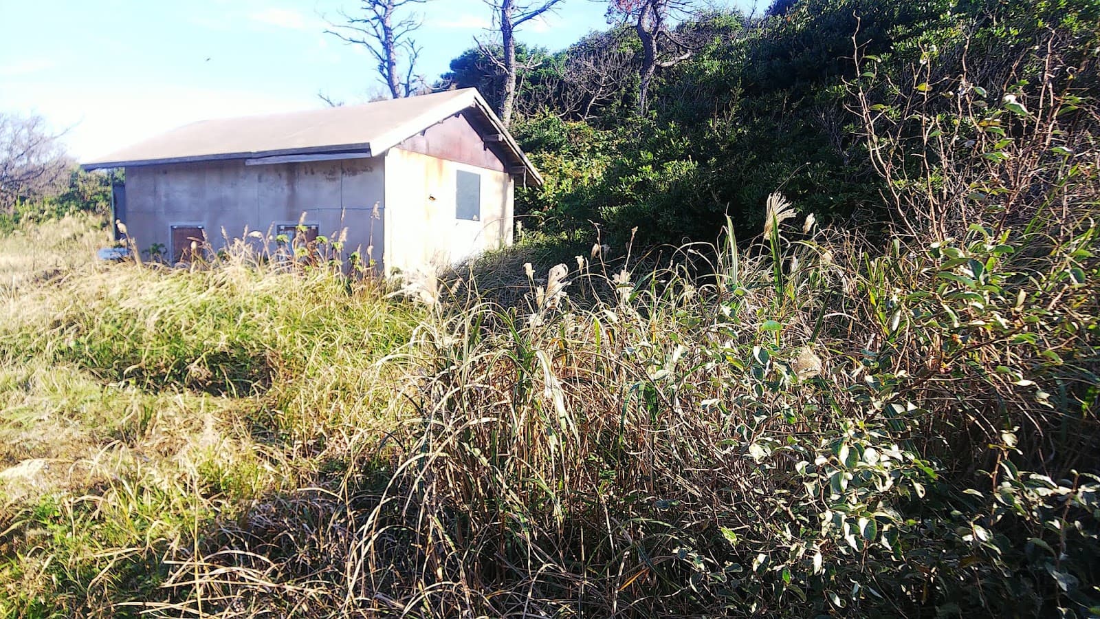 天の原キャンプ場