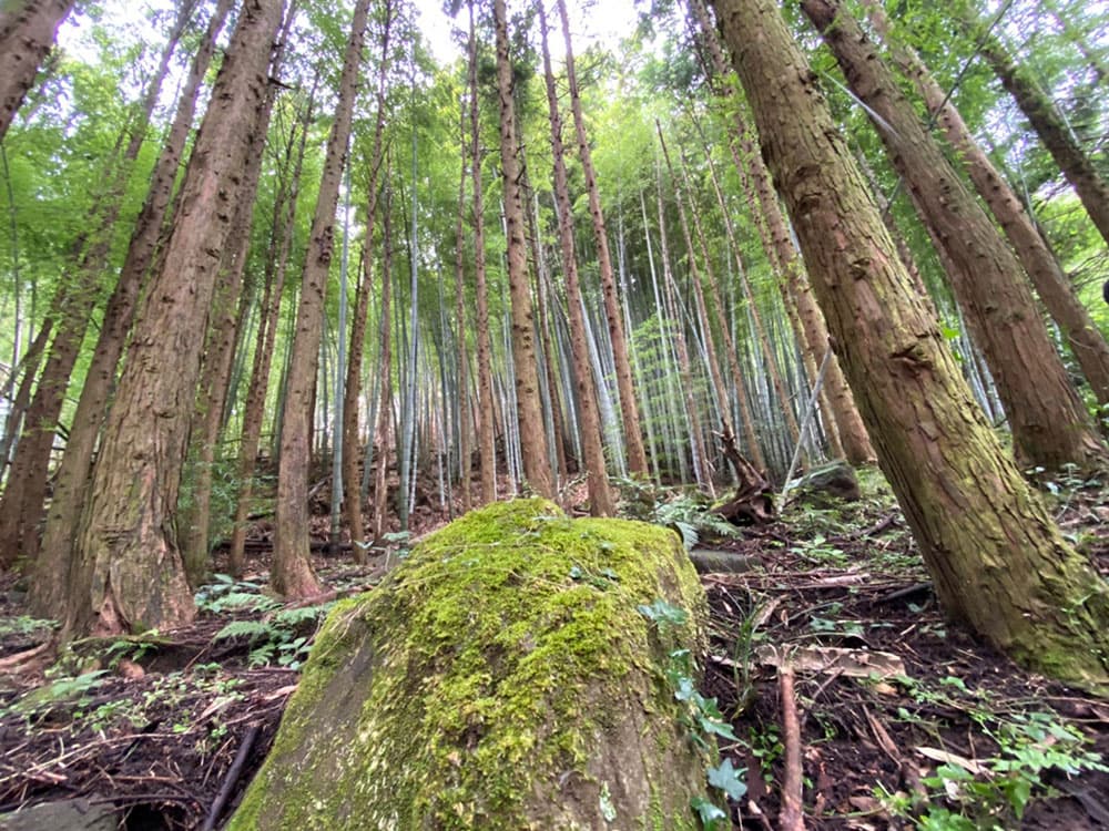 マイキャンプ 小田原 入生田3