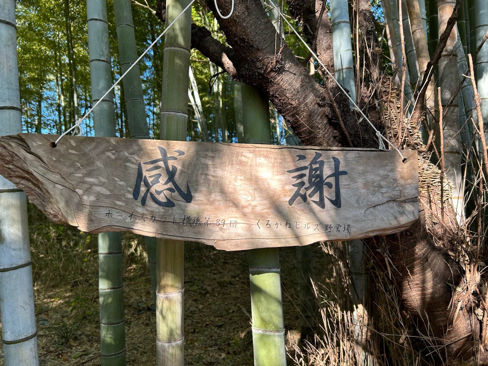 ボーイスカウト横浜第89団くろがねヒルズ野営場